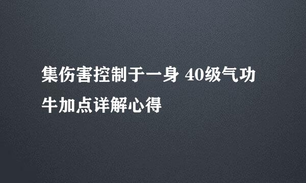 集伤害控制于一身 40级气功牛加点详解心得