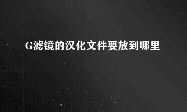 G滤镜的汉化文件要放到哪里