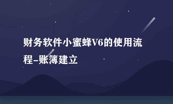财务软件小蜜蜂V6的使用流程-账簿建立