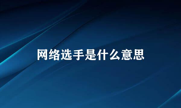 网络选手是什么意思