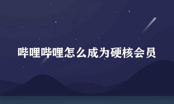 哔哩哔哩怎么成为硬核会员