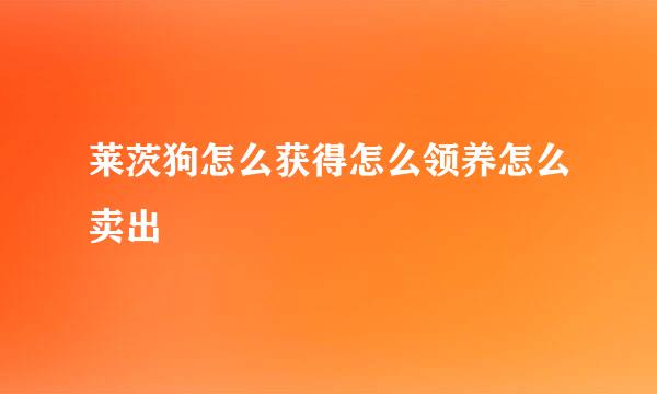 莱茨狗怎么获得怎么领养怎么卖出