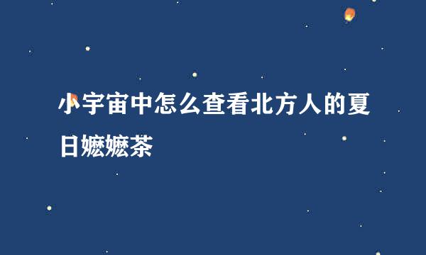 小宇宙中怎么查看北方人的夏日嬷嬷茶
