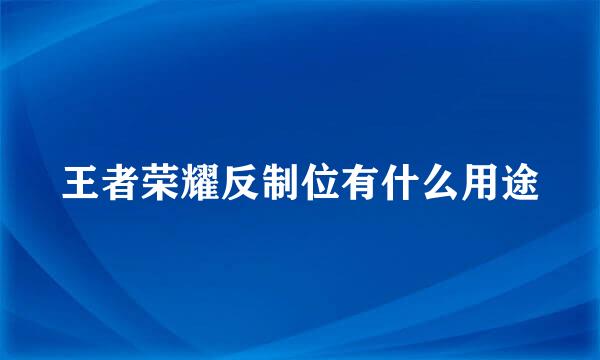 王者荣耀反制位有什么用途