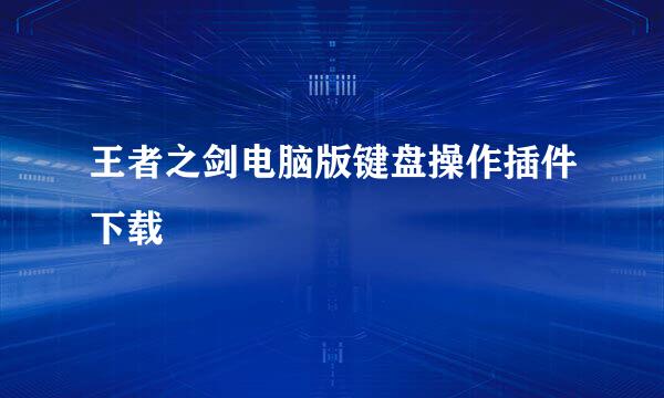 王者之剑电脑版键盘操作插件下载