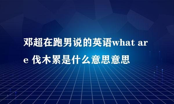 邓超在跑男说的英语what are 伐木累是什么意思意思