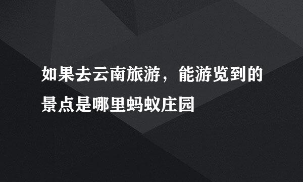 如果去云南旅游，能游览到的景点是哪里蚂蚁庄园