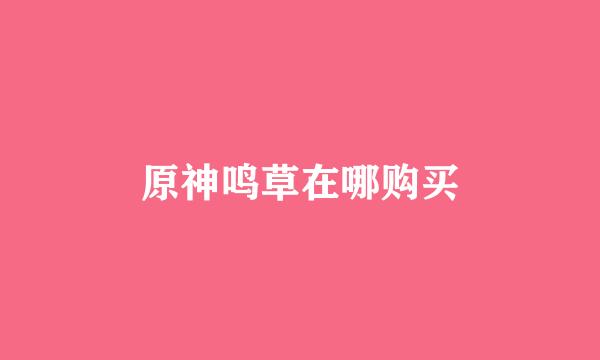 原神鸣草在哪购买