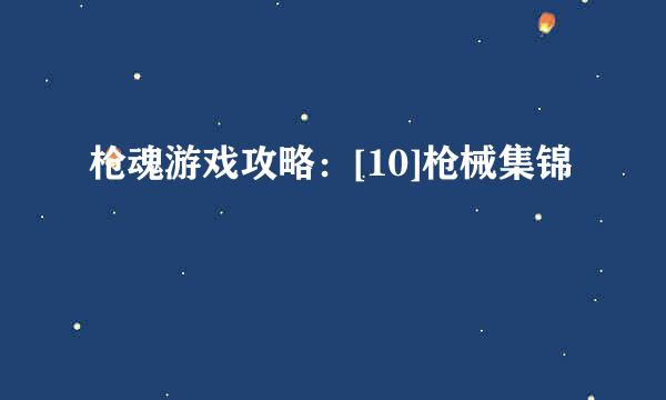 枪魂游戏攻略：[10]枪械集锦