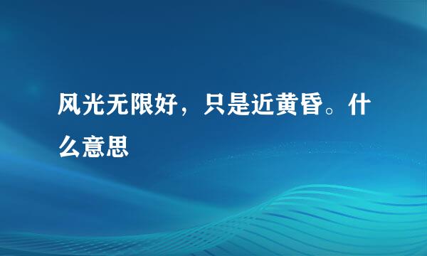 风光无限好，只是近黄昏。什么意思