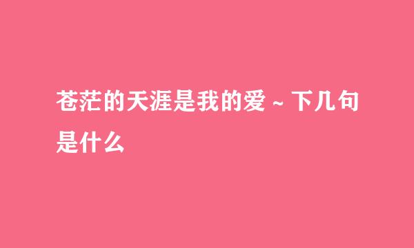苍茫的天涯是我的爱～下几句是什么