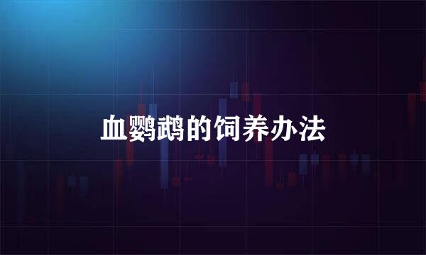 血鹦鹉的饲养办法
