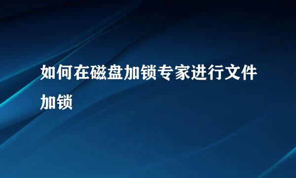如何在磁盘加锁专家进行文件加锁
