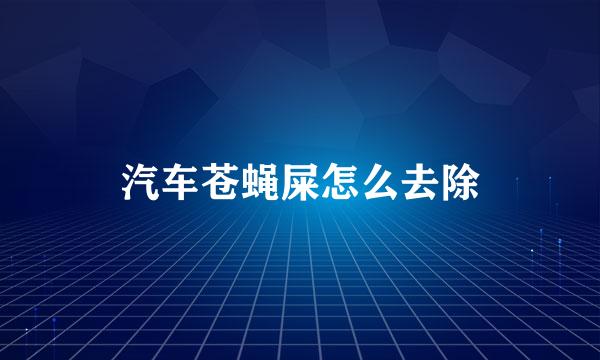 汽车苍蝇屎怎么去除