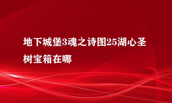 地下城堡3魂之诗图25湖心圣树宝箱在哪