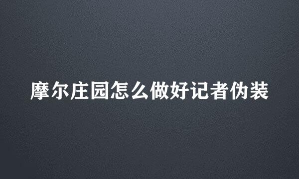摩尔庄园怎么做好记者伪装