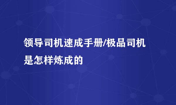 领导司机速成手册/极品司机是怎样炼成的