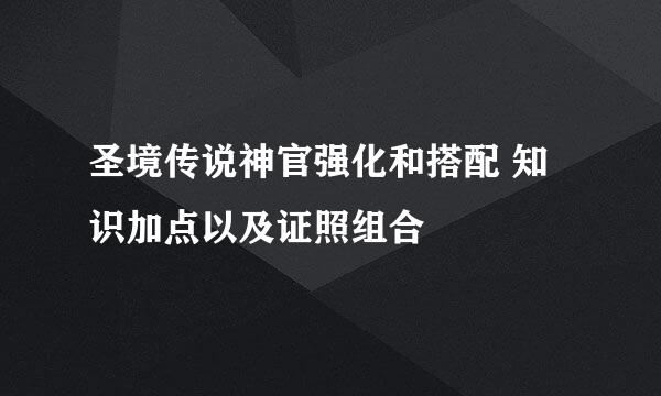 圣境传说神官强化和搭配 知识加点以及证照组合