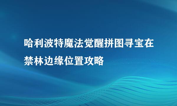 哈利波特魔法觉醒拼图寻宝在禁林边缘位置攻略