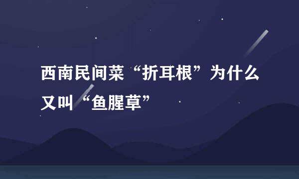 西南民间菜“折耳根”为什么又叫“鱼腥草”
