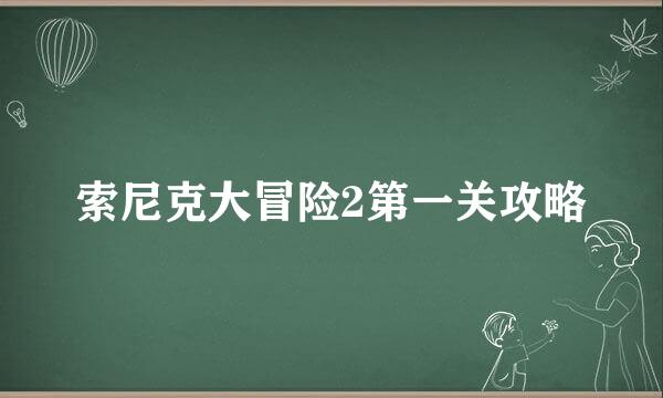 索尼克大冒险2第一关攻略