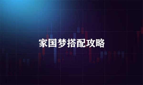 家国梦搭配攻略