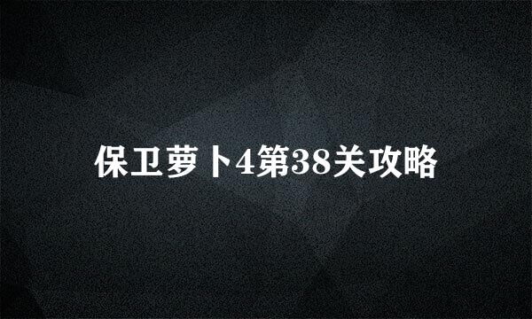 保卫萝卜4第38关攻略