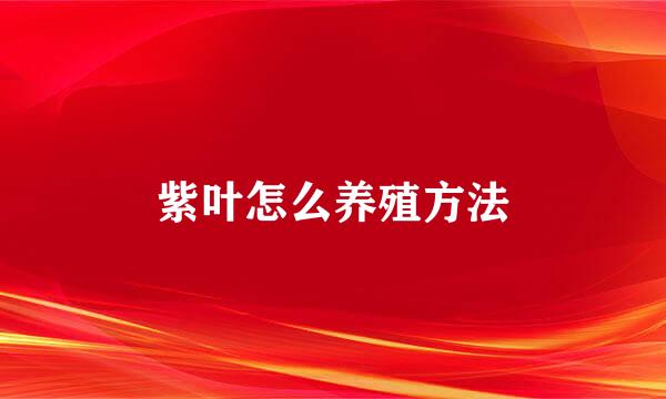 紫叶怎么养殖方法