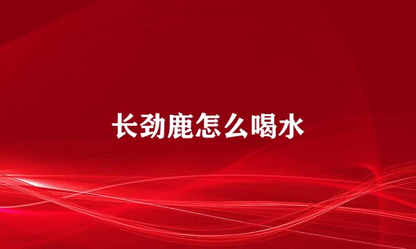 长劲鹿怎么喝水