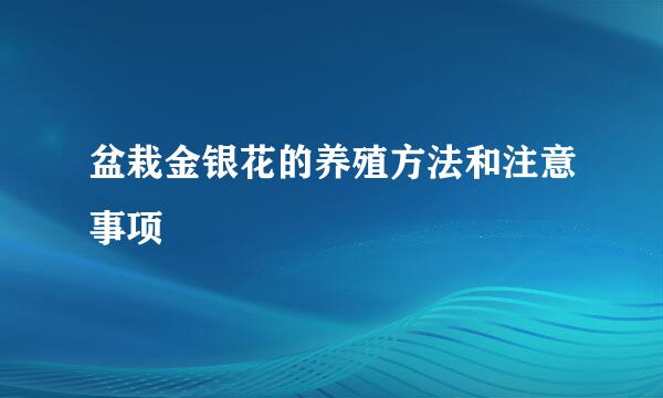 盆栽金银花的养殖方法和注意事项