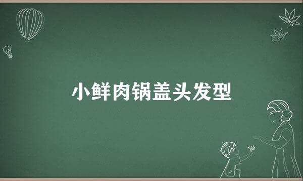 小鲜肉锅盖头发型