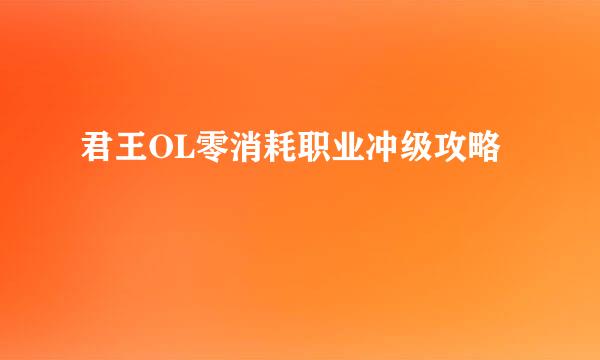 君王OL零消耗职业冲级攻略