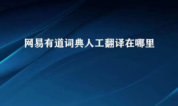 网易有道词典人工翻译在哪里