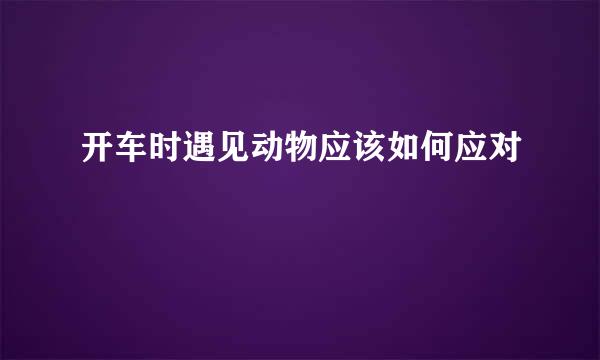 开车时遇见动物应该如何应对