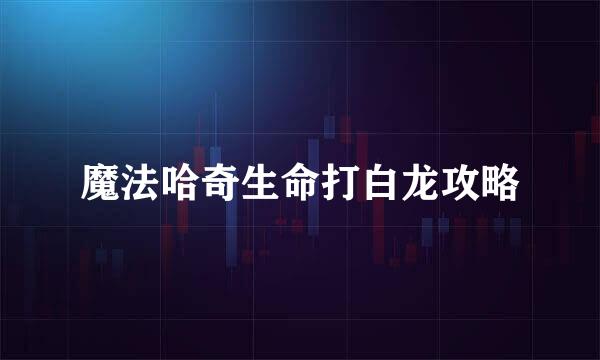魔法哈奇生命打白龙攻略