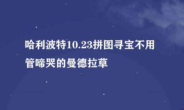哈利波特10.23拼图寻宝不用管啼哭的曼德拉草