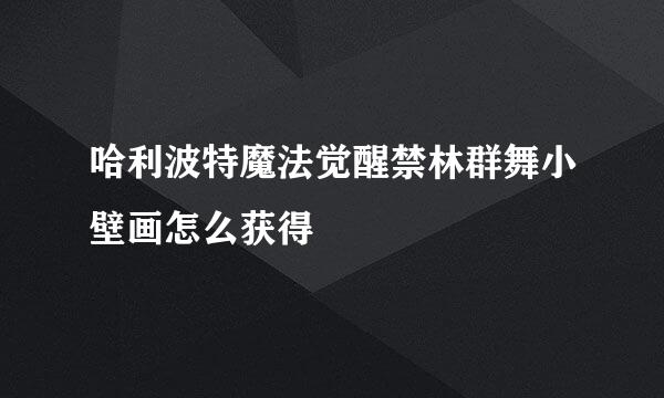 哈利波特魔法觉醒禁林群舞小壁画怎么获得