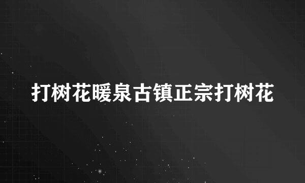 打树花暖泉古镇正宗打树花