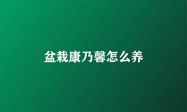 盆栽康乃馨怎么养