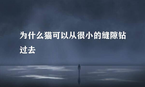 为什么猫可以从很小的缝隙钻过去