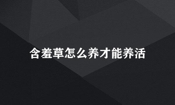 含羞草怎么养才能养活