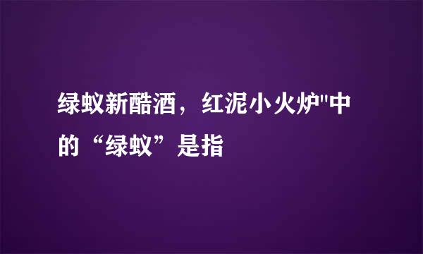绿蚁新酷酒，红泥小火炉