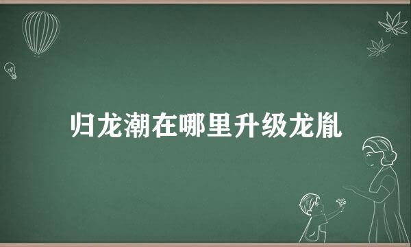 归龙潮在哪里升级龙胤