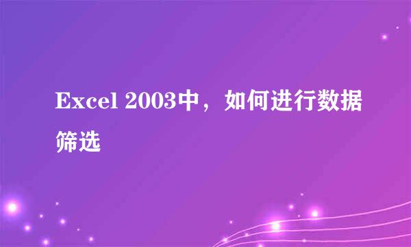 Excel 2003中，如何进行数据筛选