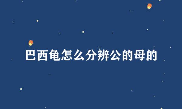 巴西龟怎么分辨公的母的