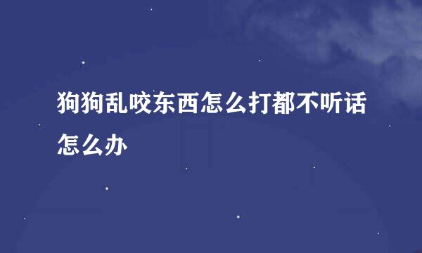 狗狗乱咬东西怎么打都不听话怎么办