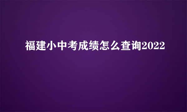 福建小中考成绩怎么查询2022