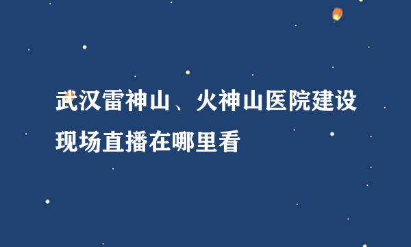 武汉雷神山、火神山医院建设现场直播在哪里看