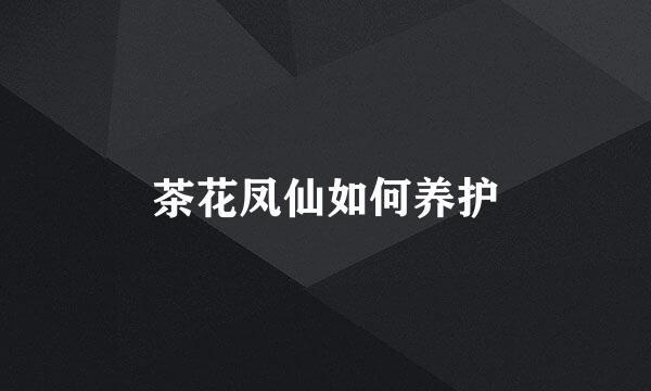 茶花凤仙如何养护