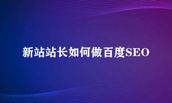 新站站长如何做百度SEO